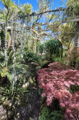 a garden with pink plants and a pergola at Le Bel - Jardin - Parking - VCA in Cannes