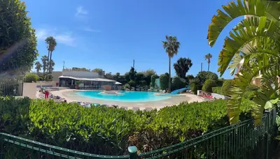 a large swimming pool in a resort with palm trees at Résidence Palme d'Azur Cannes La Bocca in Cannes