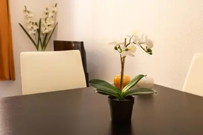 a vase with an orange and a plant on a table at Elegant 2 rooms in the heart of Cannes in Cannes