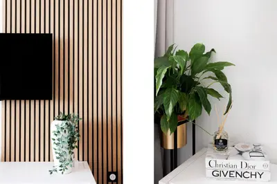 a vase on a table with a tv and a plant at Holiday Paradise in Cannes