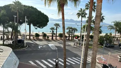 a view of a street with palm trees and the ocean at center of cannes in Cannes