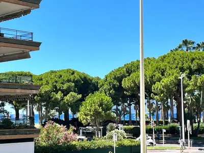 a view of a park with trees and a pole at Cannes Palm Beach in Cannes