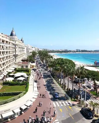 a street in front of a beach with palm trees at 2 pièces Cannes centre in Cannes