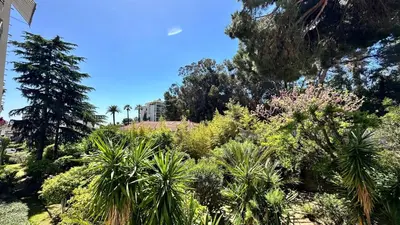 a garden with palm trees and plants at B023 Tres bel appartement proche de la mer a Cannes in Cannes