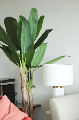 a plant in a vase on a table next to a lamp at Magnifique vue mer, grande terrasse et piscine in Cannes