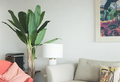 a living room with a couch and a plant at Magnifique vue mer, grande terrasse et piscine in Cannes
