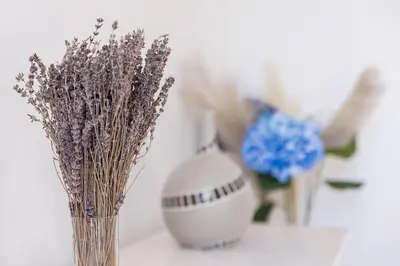 a vase with dried flowers and a ball on a table at Couronne de Joséphine - 10 mn à pied du Palais et plages, charme et authenticité in Cannes