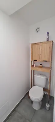 a bathroom with a white toilet with a wooden shelf at Le Ptit Ecrin du Lerins in Cannes