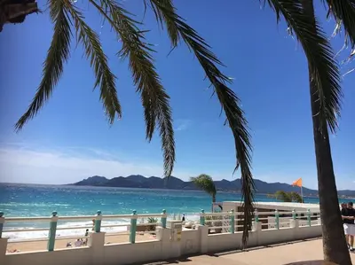 a view of the ocean from a beach with palm trees at CANNES CENTRE CHARMANT 2 ROOMS+MEZZANIN in Cannes