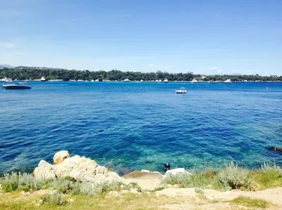a large body of water with boats in it at CANNES CENTRE CHARMANT 2 ROOMS+MEZZANIN in Cannes