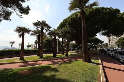 a row of palm trees on a street with cars at Les Fleurs in Cannes