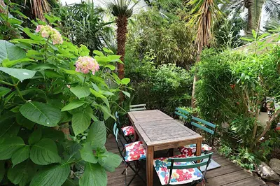 a wooden table and chairs in a garden at Les Fleurs in Cannes