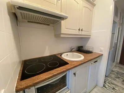 a small kitchen with a sink and a stove at Cannes centre Lou Souquetan in Cannes