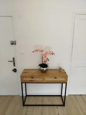 a table with a plant on top of it next to a door at Grand studio avec terrasse in Cannes