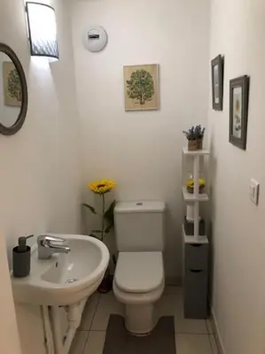 a bathroom with a white toilet and a sink at Appartement 3 Etoiles centre moderne terrasse piscine parking in Cannes