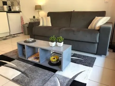 a living room with a couch and a table at Appartement 3 Etoiles centre moderne terrasse piscine parking in Cannes