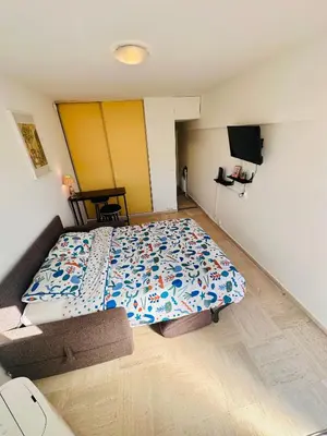a bedroom with a large bed and a television at Charmant Studio à 5 minutes des plages in Cannes