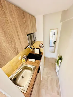 a small kitchen with a sink and a counter at Charmant Studio à 5 minutes des plages in Cannes