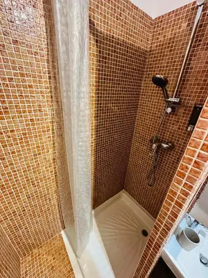 a shower in a bathroom with a shower at Charmant Studio à 5 minutes des plages in Cannes