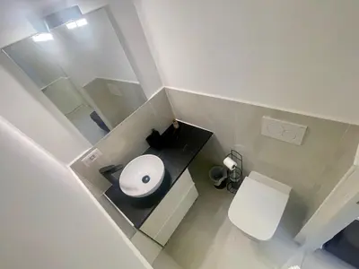 a small bathroom with a white toilet and a black cat at La Brise by Connexion in Cannes
