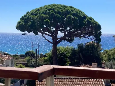 a tree sitting on top of a roof at Cannes Sea View, by Beach, Private Room in Shared 3-Bedroom Apartment, Private Bathroom & Balcony,, Chambre avec salle de bain privative & balcon, chez l'habitant in Cannes