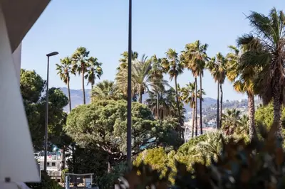 a view of palm trees and a city at ARM1 - Beau 2 pièces avec terrasse d'angle in Cannes