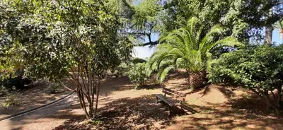 a park with a bench in the middle of trees at Le Paradis d'Ella in Cannes