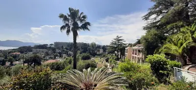 a palm tree in the middle of a city at Le Paradis d'Ella in Cannes