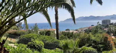 a palm tree in a garden with a view of the ocean at Le Paradis d'Ella in Cannes