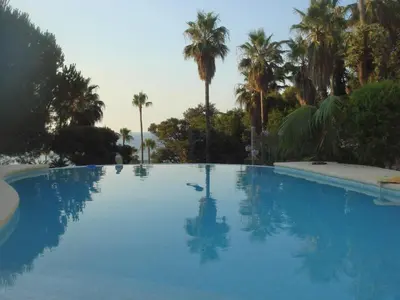 a large swimming pool with palm trees in the background at Maison Louijane in Vallauris