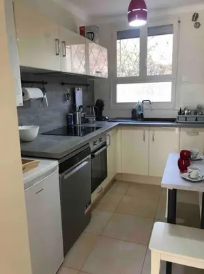 a kitchen with a sink and a stove top oven at Appartement 3 pièce à Cannes in Cannes