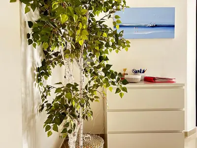 a plant in a room next to a dresser at Elegant studio a 50m de la Croisette et ses plages - Ada Serenity Beach in Cannes