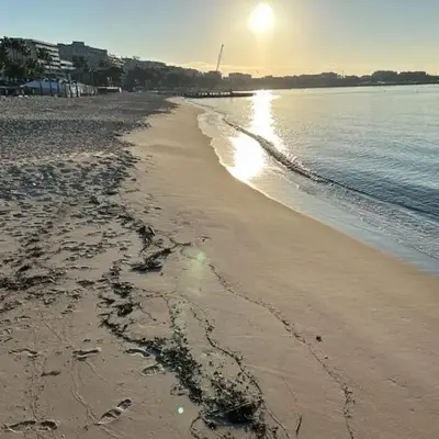 Elegant studio a 50m de la Croisette et ses plages - Ada Serenity Beach