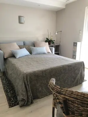 a bedroom with a large bed in a room at Valbois in Cannes