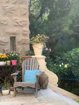 a chair and a pot of flowers on a patio at Valbois in Cannes
