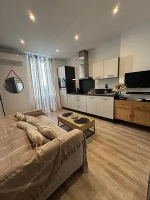 a large living room with a couch and a kitchen at Cocon Bohème Cannes Croisette-Palais-Plages 200m in Cannes