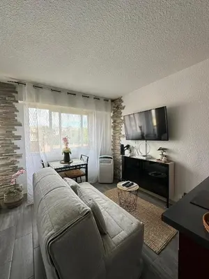 a living room with a couch and a flat screen tv at Cet été à Cannes, Studio cosy à 8' de la Croisette in Cannes