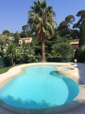 a large blue swimming pool with a palm tree at Cannes centre Villa piscine spa in Cannes