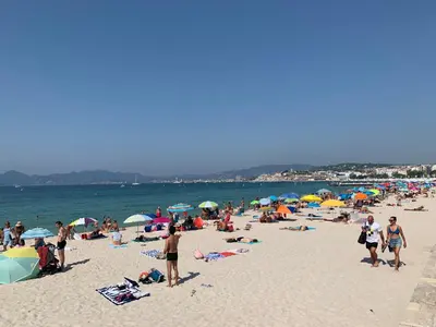 a row of white chairs and umbrellas on a beach at Beautiful apartment Cannes center terrace parking in Cannes