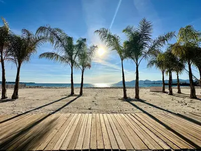 a bird walking on a beach near the water at Beautiful apartment Cannes center terrace parking in Cannes