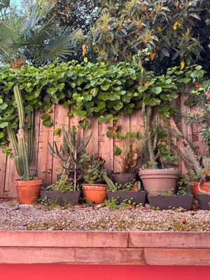 a fence with plants and potted plants on it at Design Appartment 100sqm close to Palais Beach and Restaurants in Cannes
