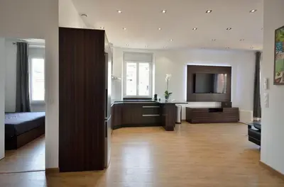 a large living room with a bed and a television at Très bel appartement centre-ville in Cannes