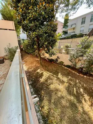 a tree in a yard next to a building at appartement avec piscine in Le Cannet