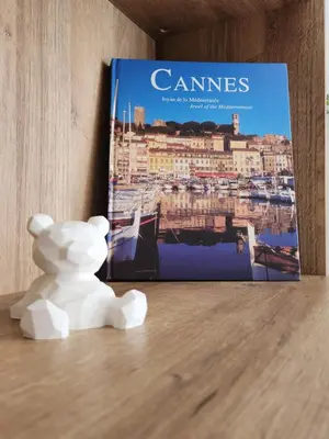 a white teddy bear sitting in front of a book at Cannes Paradis in Cannes