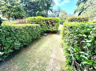a path through a hedge in a garden at 4 people with Pool Tennis Parking air cond in Cannes