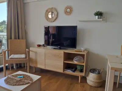 a living room with a flat screen tv on a wooden entertainment center at Cannes Villa Francia appartement climatisé vue mer in Cannes
