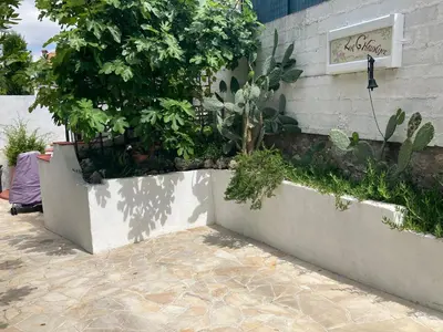 a garden on the side of a building with plants at Villa 12MN Walk from le palais in Cannes