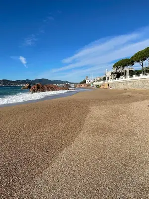 a view of a sandy beach with the ocean at Cannes in Cannes
