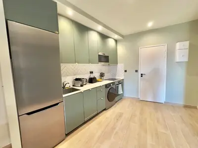 a kitchen with green cabinets and stainless steel appliances at Cosy Home Cannes - Croisette in Cannes