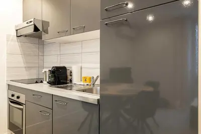 a kitchen with a stainless steel refrigerator and a sink at Beautiful apartment, next to Croisette Gray Albion in Cannes